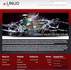 Linuo Valves